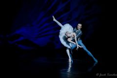 White Swan with Marcin Kupinski