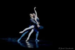 Black Swan with Marcin Kupinski