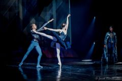 Black Swan with Marvin Kupinski
