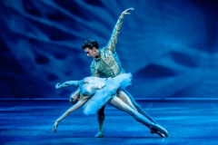 Swan Lake with Ulrik Birkkjær