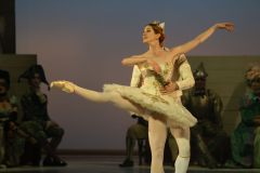 Don Quixote Pas De Deux with Jonathan Chmelensky